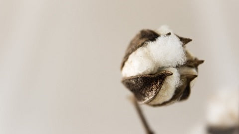 We can ensure that our products are made of 100% organic cotton.